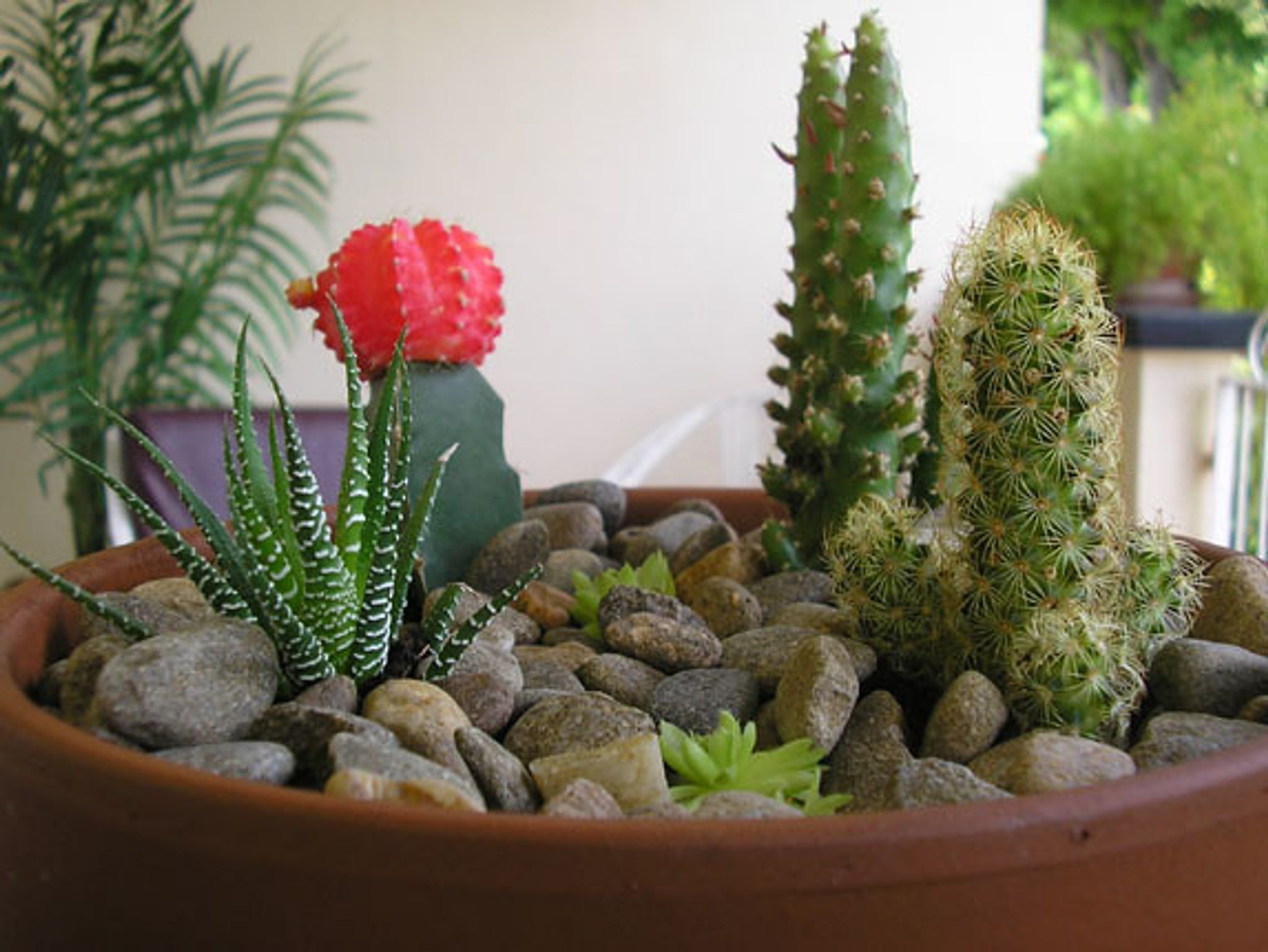 Cover photo for Elvira Yzquierdo's Obituary