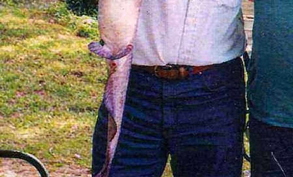 Lawrence M. Hendricks