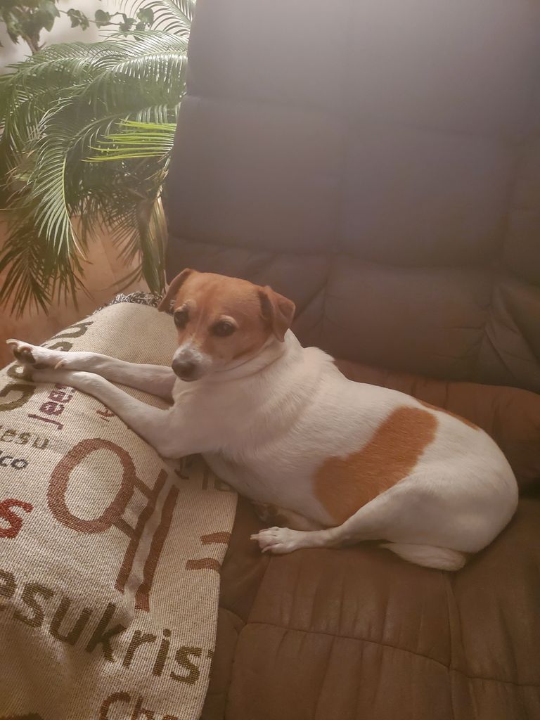 Spice Mama Profile Photo