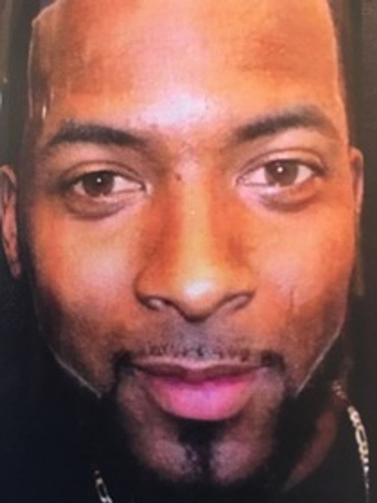 James David Hamitlon