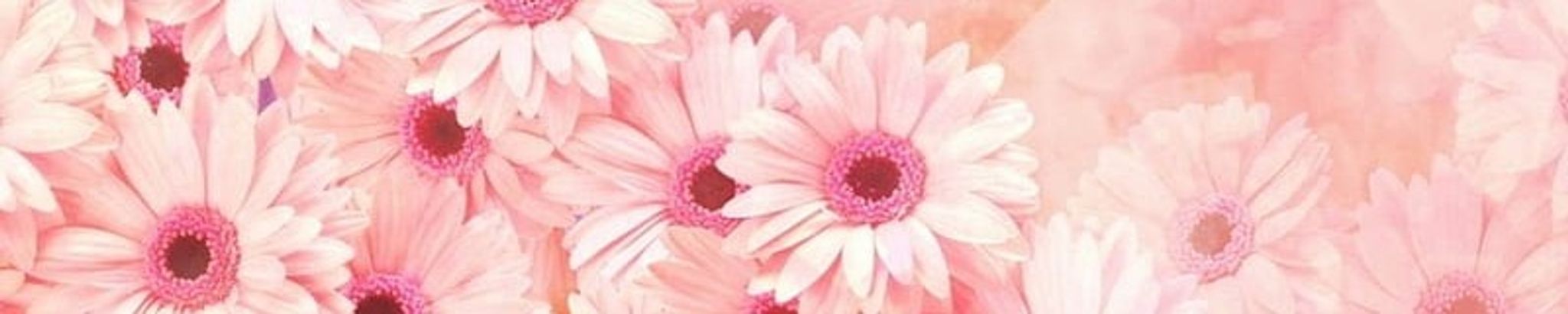 Cover photo for Daisy Mae Foley's Obituary
