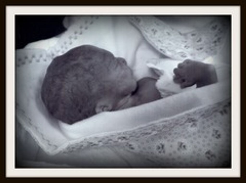 Faith Ma'ree Barbour