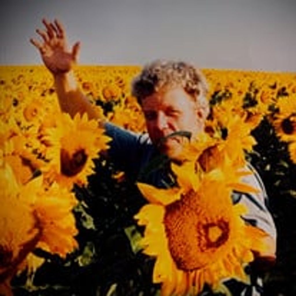 Dewayne Sjostrand