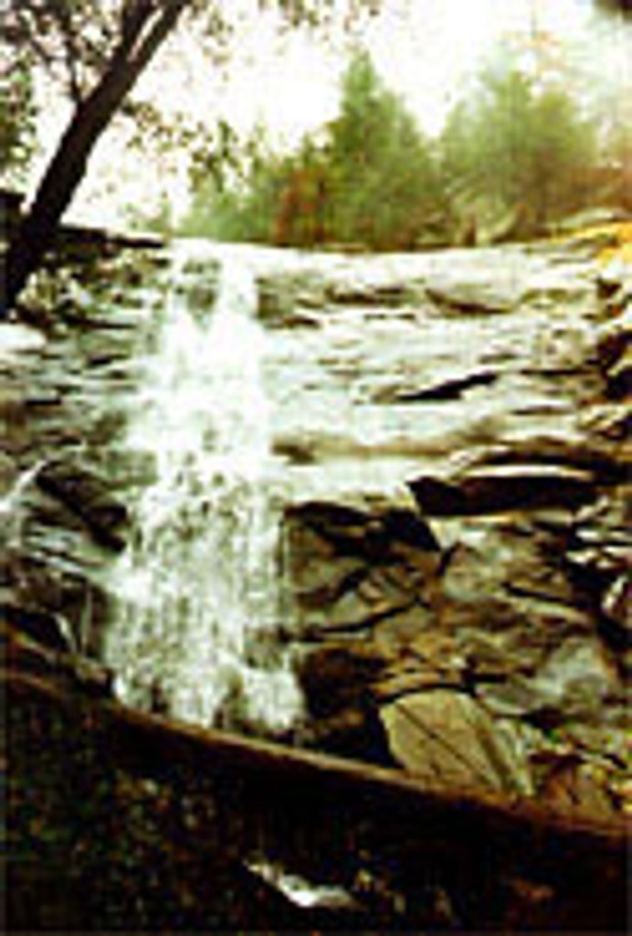 Lonzo "Lonnie" Anderson