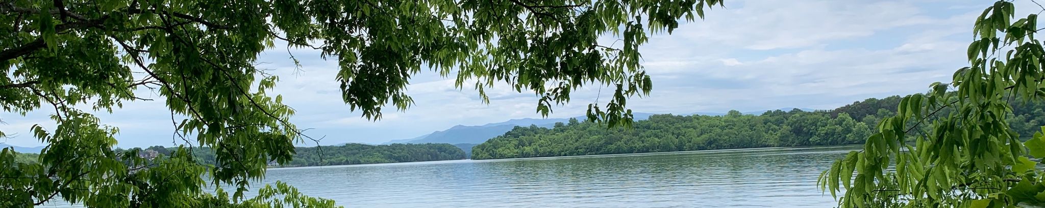 Cover photo for Linda Margaret Stackpole's Obituary