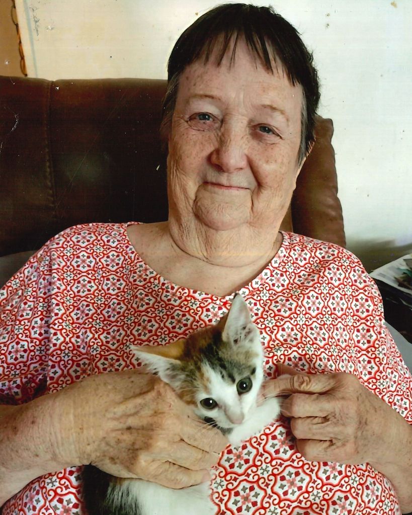 Jeanette Carol Springer Profile Photo