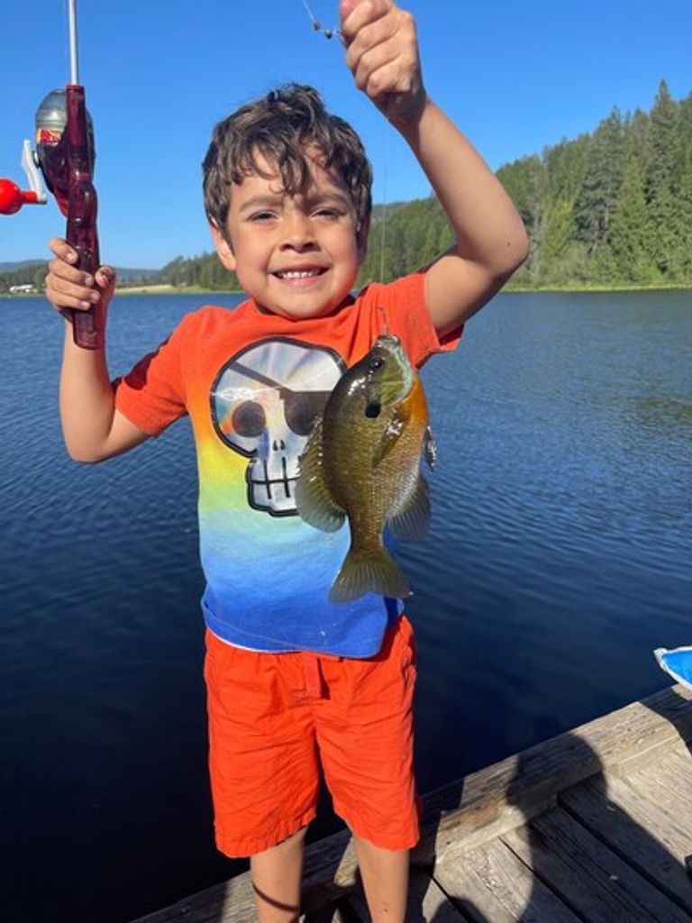 Jaxsen D Betz Profile Photo