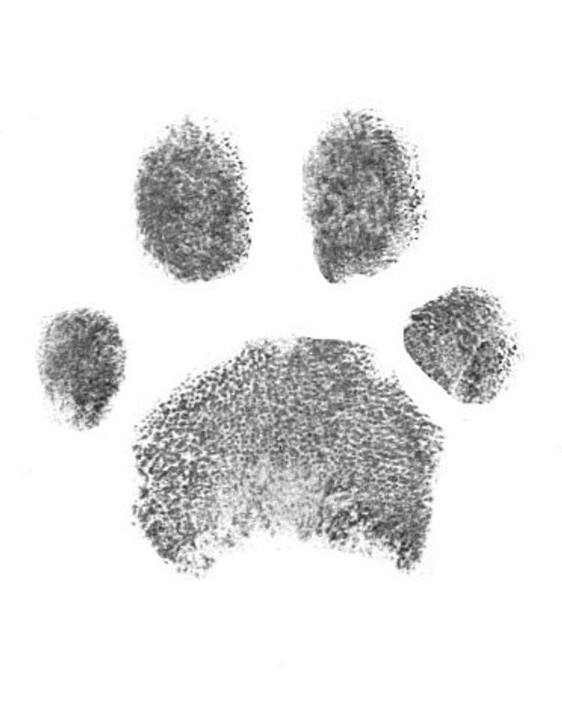 Mooch Keller Profile Photo