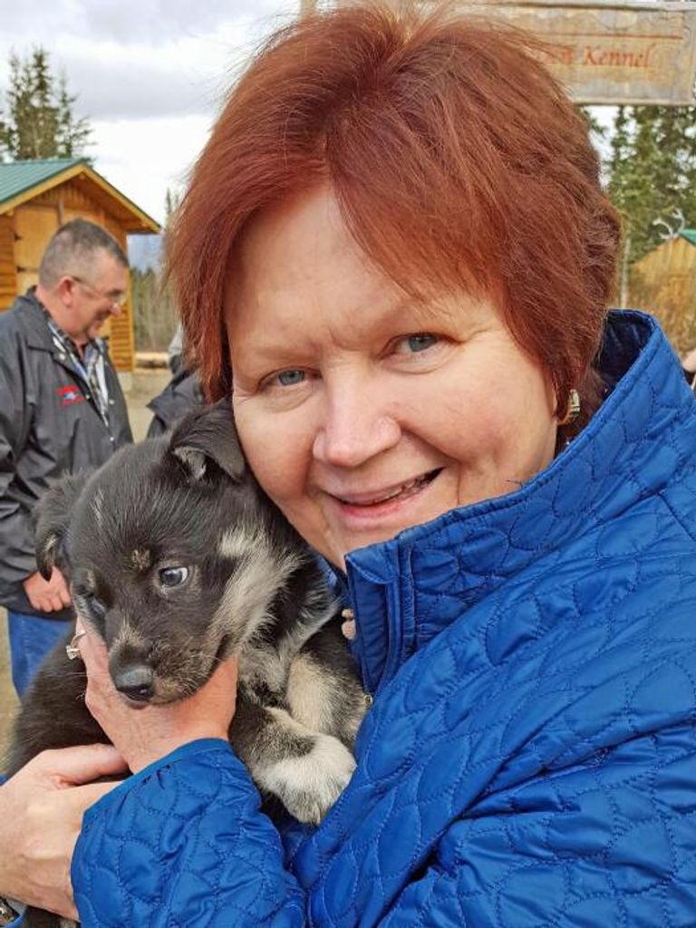 Susan C. Fox Profile Photo