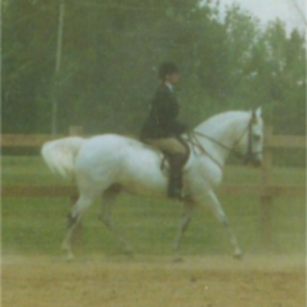 Brenda Mckinstry Profile Photo