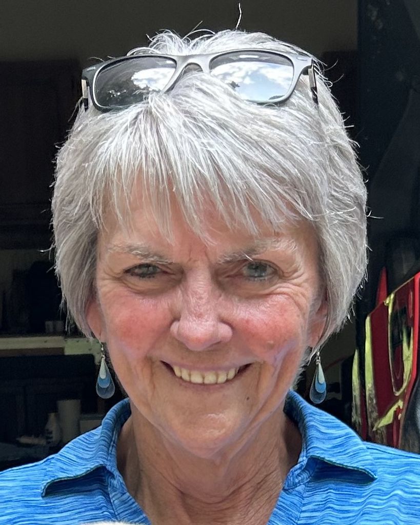Theresa Ann Shay