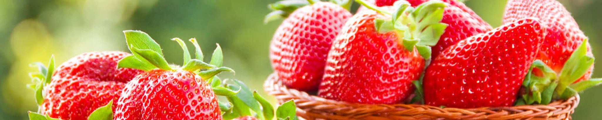 Cover for Brenda Kay Dezern Brown's Obituary