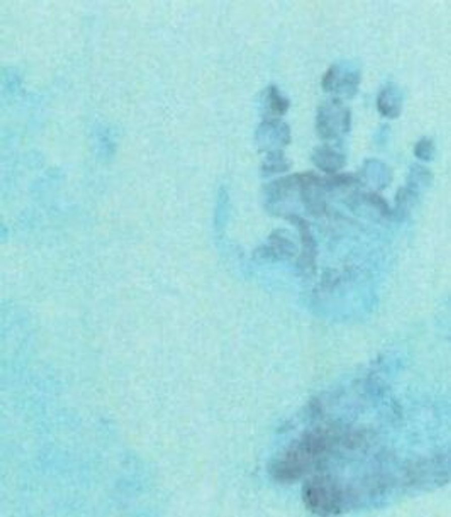 Baby Daniel Xavier Bedward-Coombs Profile Photo