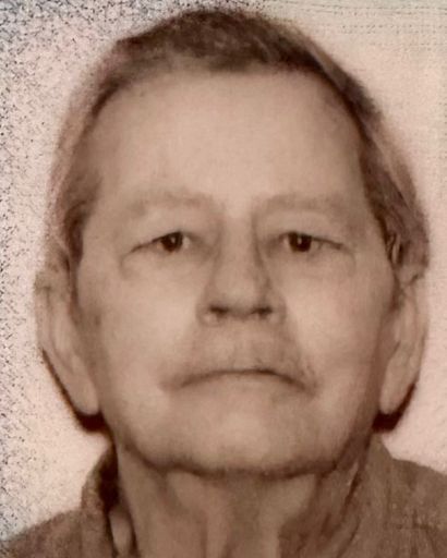 Robert Louis Taylor's obituary image