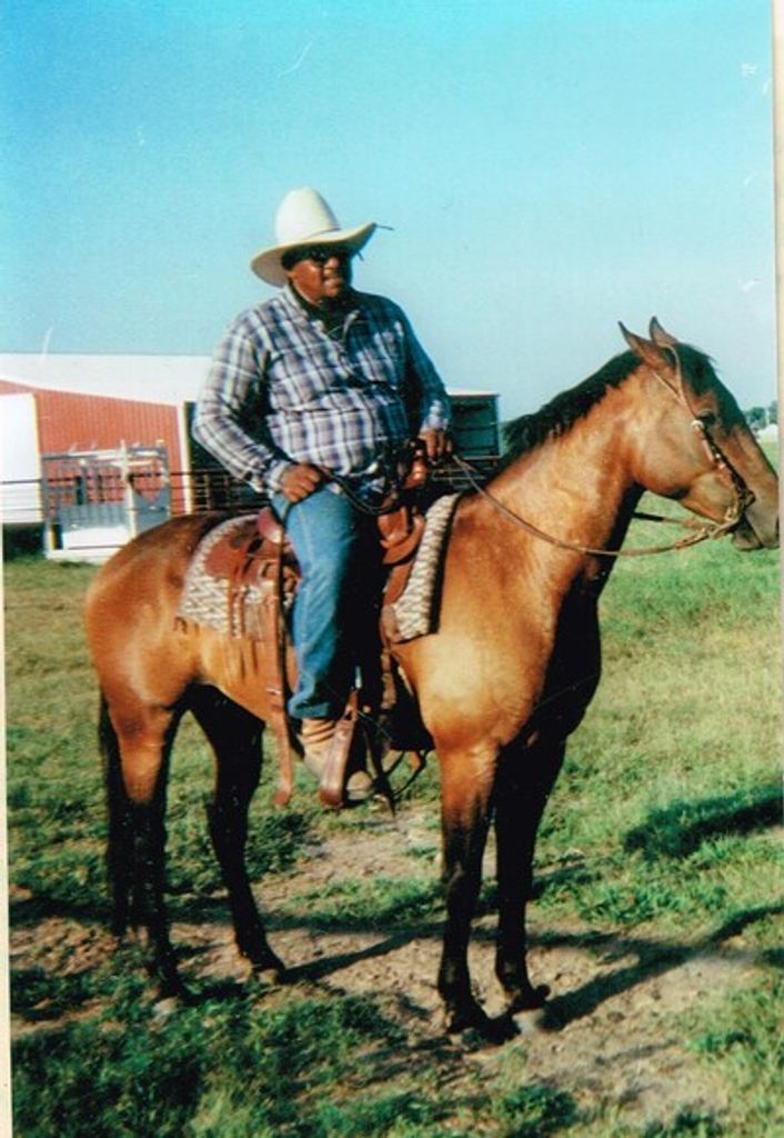 Joe Harrison Profile Photo