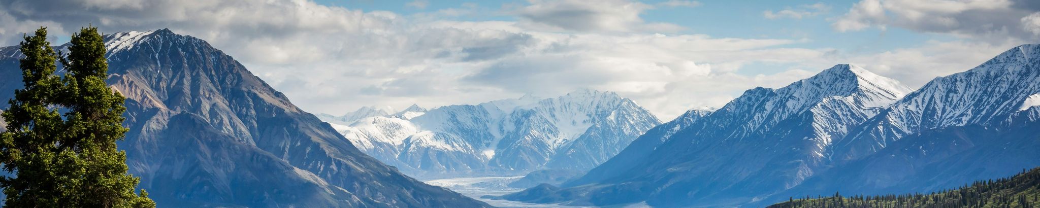 Cover for Brenda Snell's Obituary