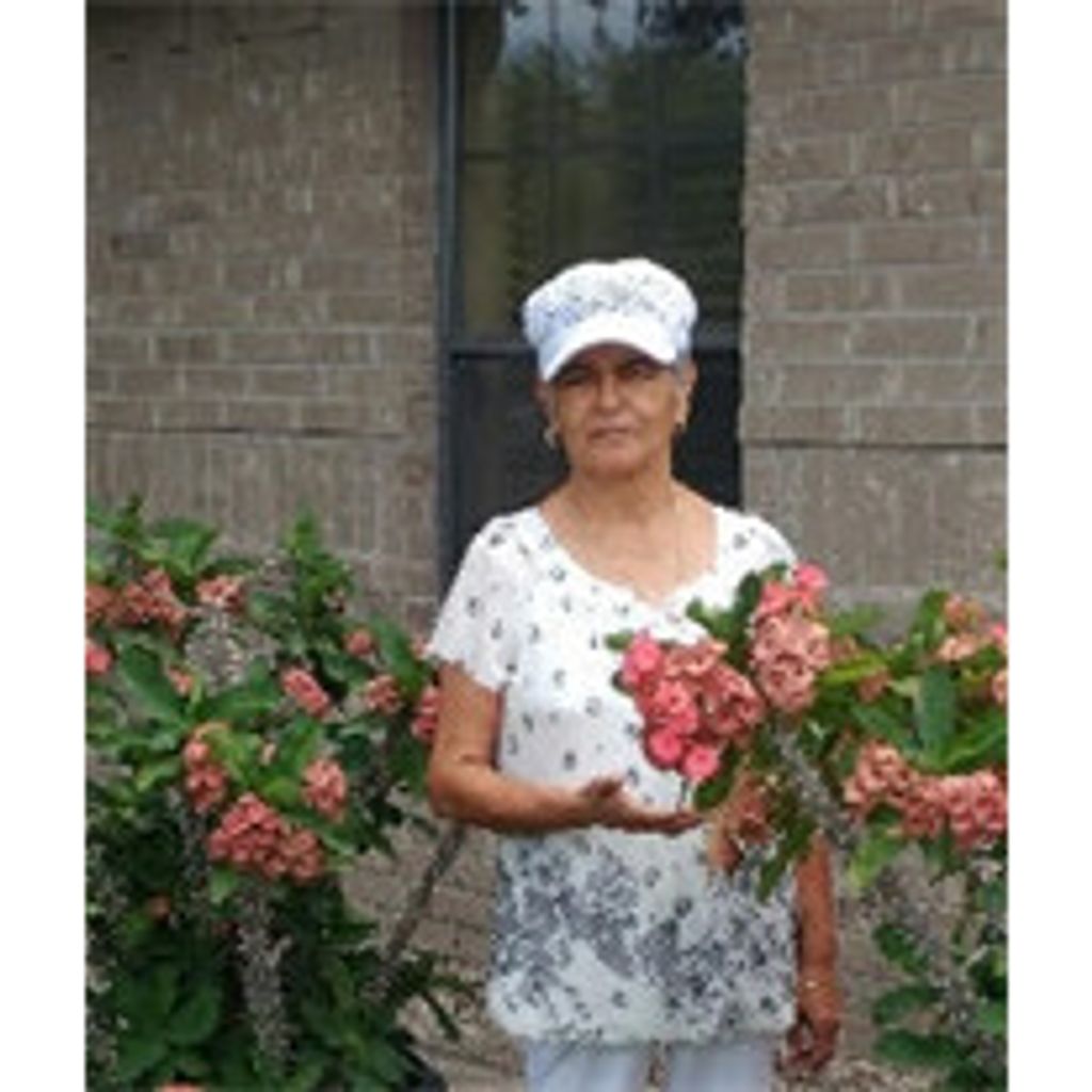 Elvira Treviño