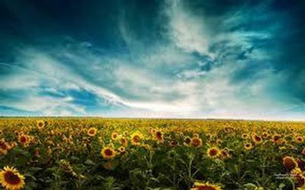 Martin B. Seager Profile Photo