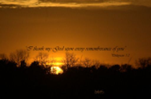 Brenda G. Fauster photo gallery thumbnail 1 of 3