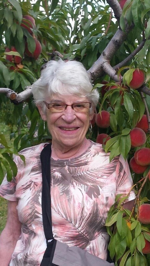 Dorothy J. Bolduc