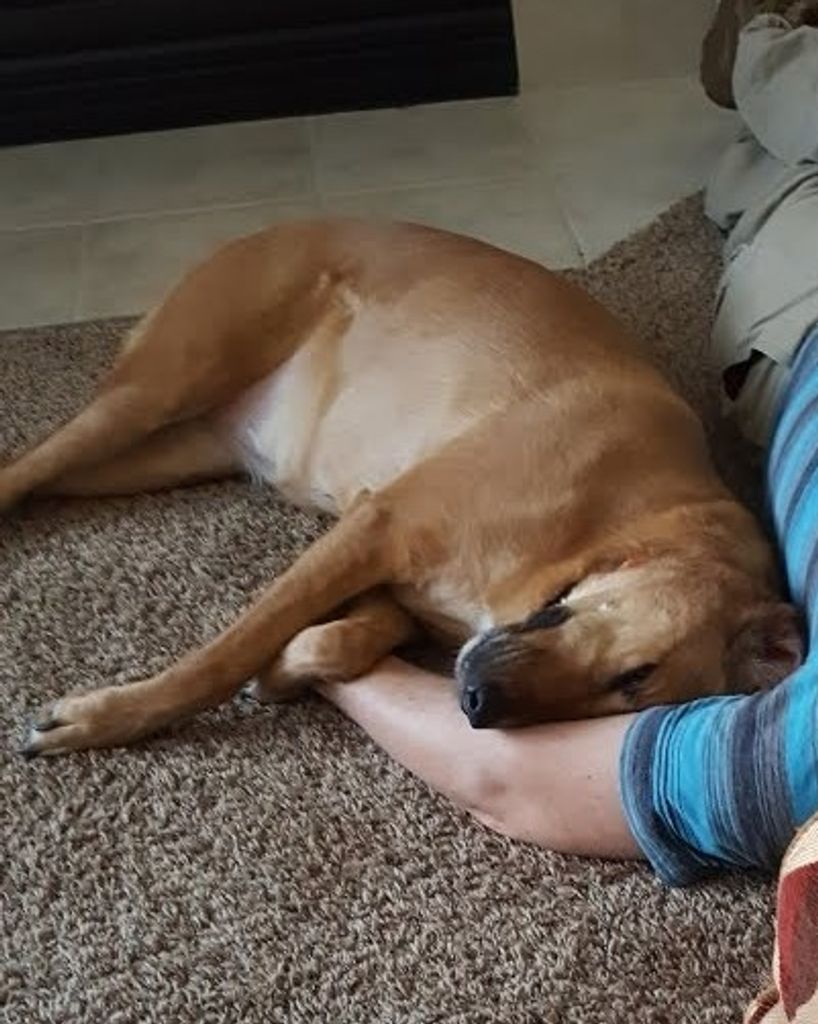 Bella Linsday Profile Photo