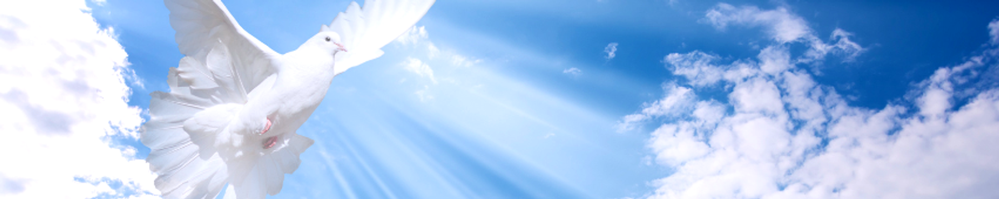 Cover for Jesus G. Rios's Obituary