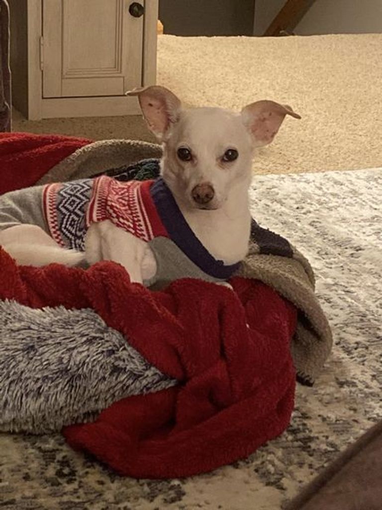 Coalbi Jack Warren Profile Photo