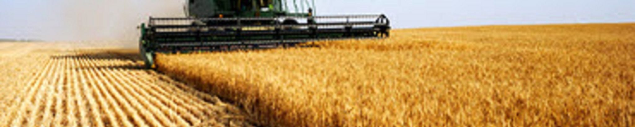 Cover for James "Mark" Cubbon's Obituary