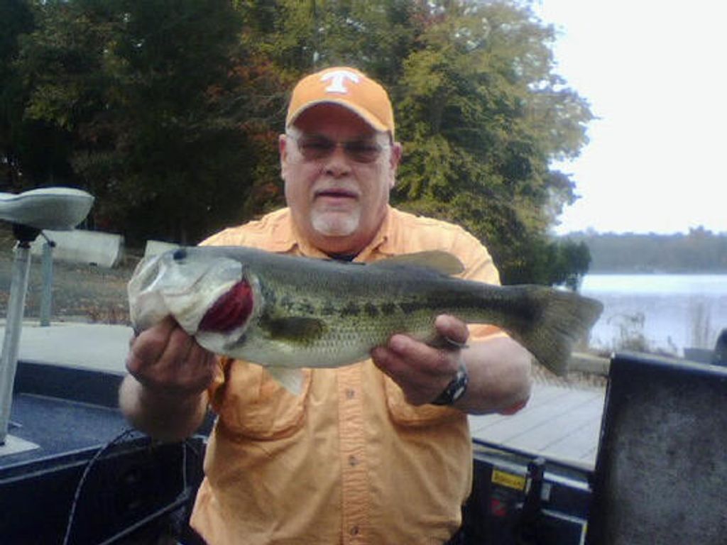 Steven Walter Oliver