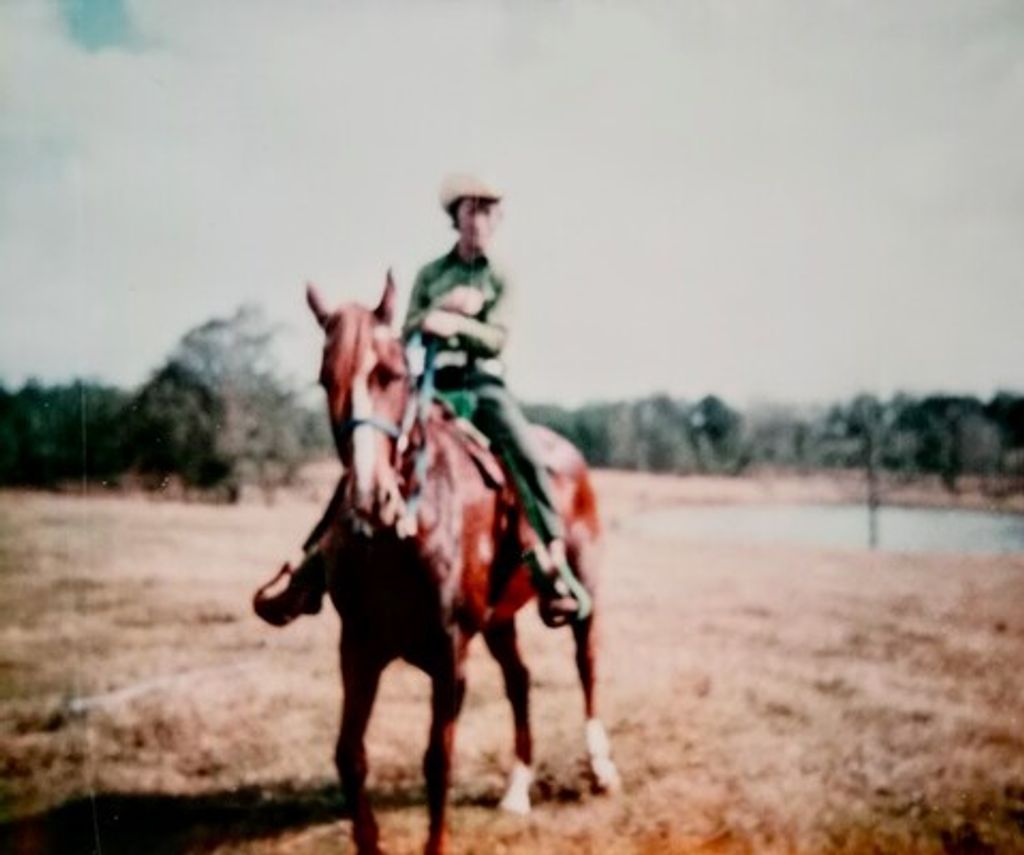 Danny Ellis Profile Photo