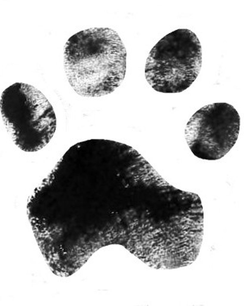 Effie Bennick Profile Photo