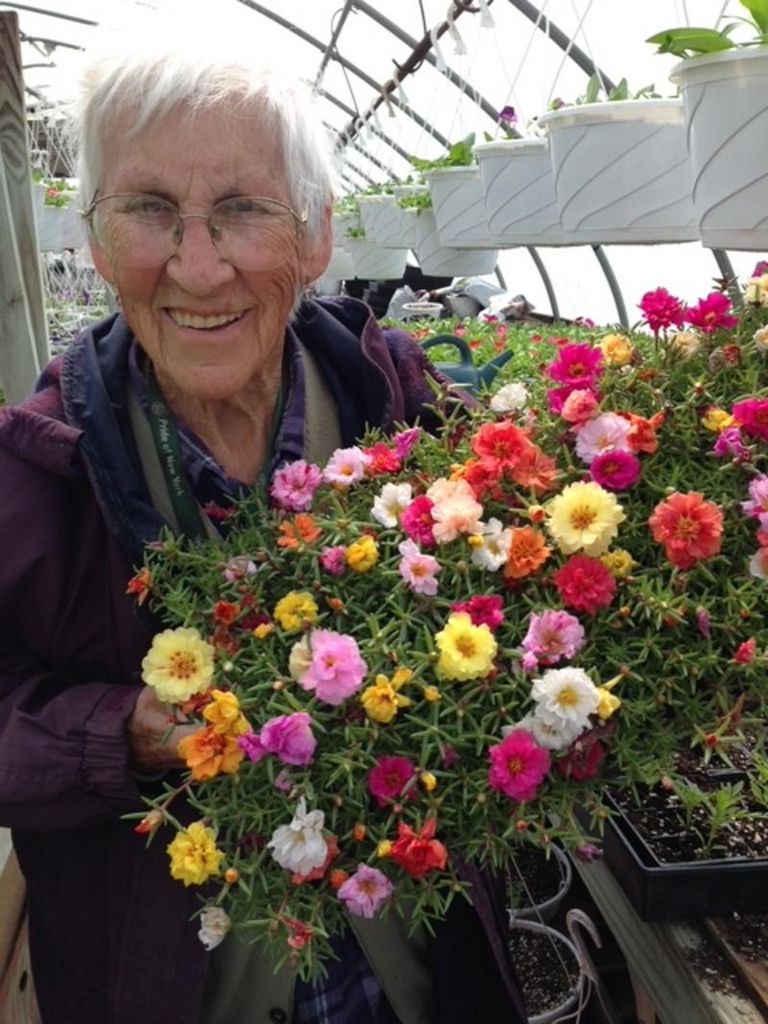 Lenore B. Hoxie Profile Photo