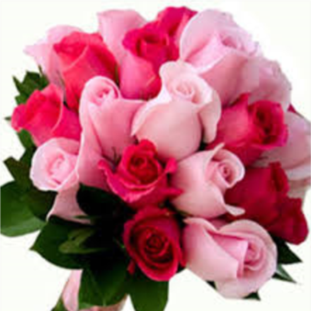 Kathryn  E. (Stephens)  Trout Profile Photo