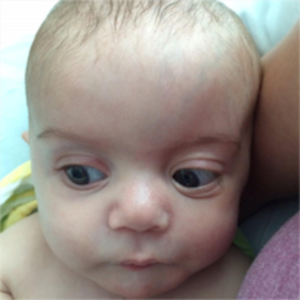 Grayson Cole Lauer