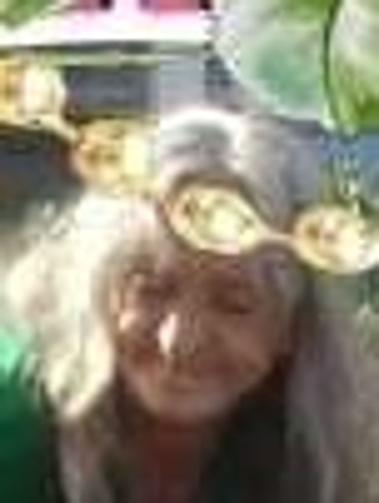 Pauline Callahan Whidden