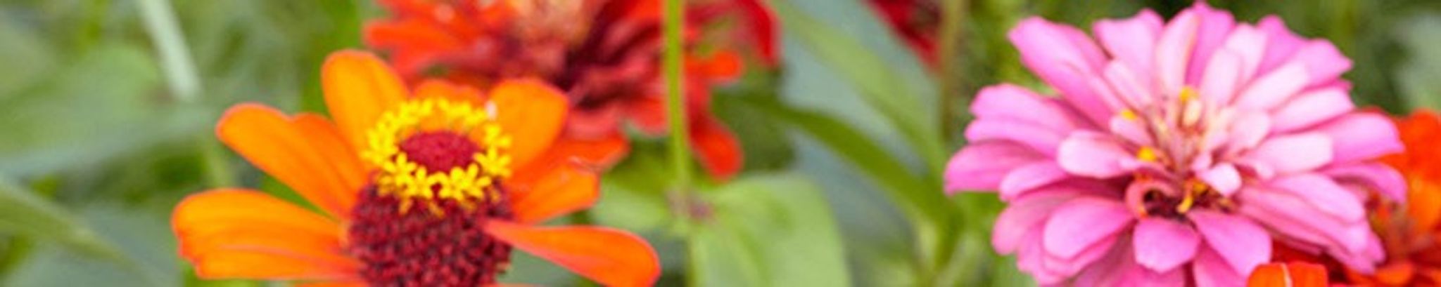 Cover photo for Frances Lorraine Rezac's Obituary