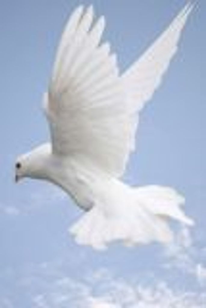 Eva Weatherby Profile Photo