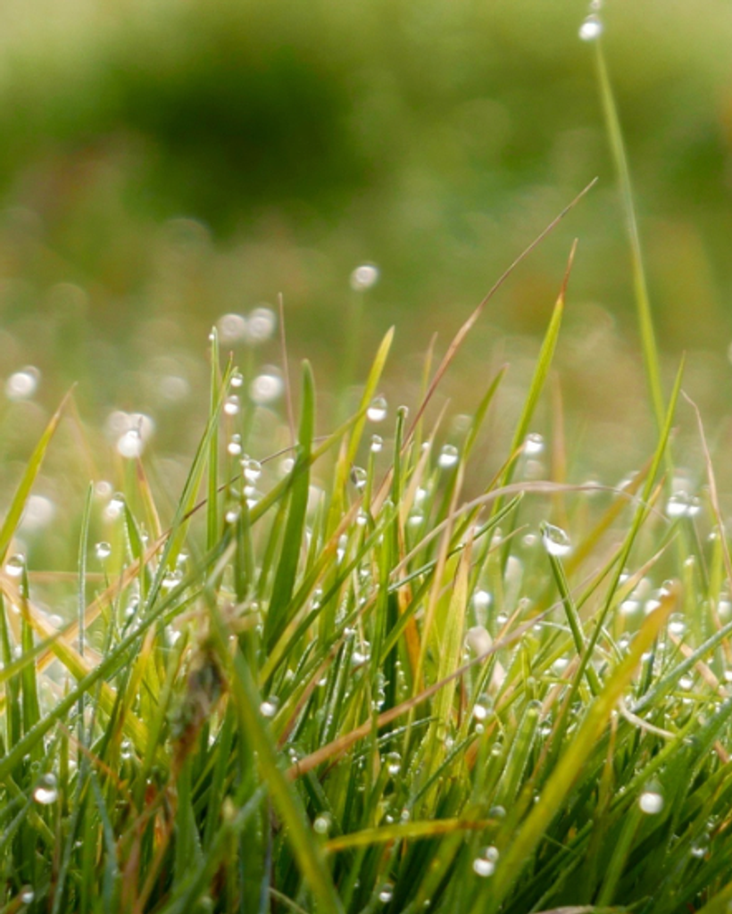 Bodie Maddox Fretwell Profile Photo