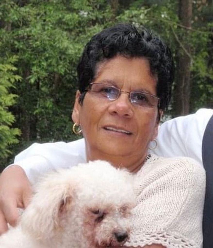 Regina R. (Rodrigues) Rosa