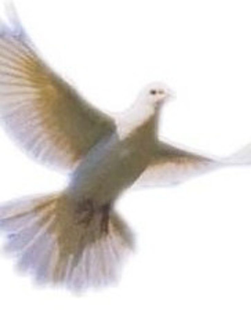 Ms. Aleisha Snowden Profile Photo