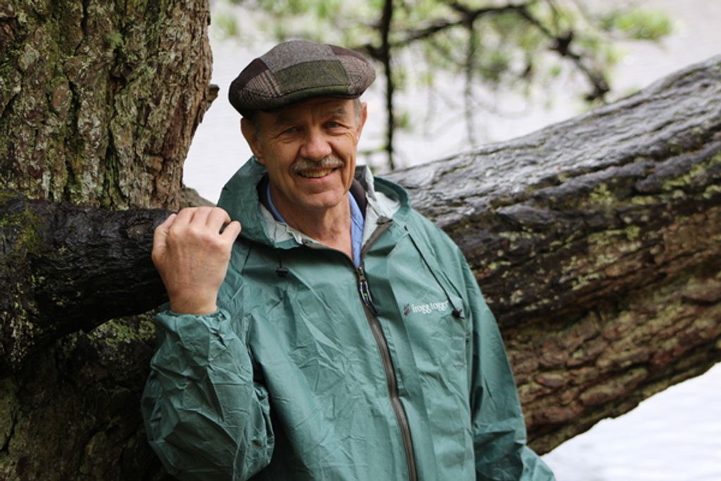 David Foster Mullican