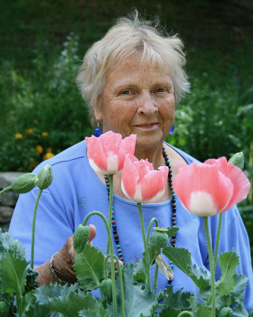 Linda Wedel