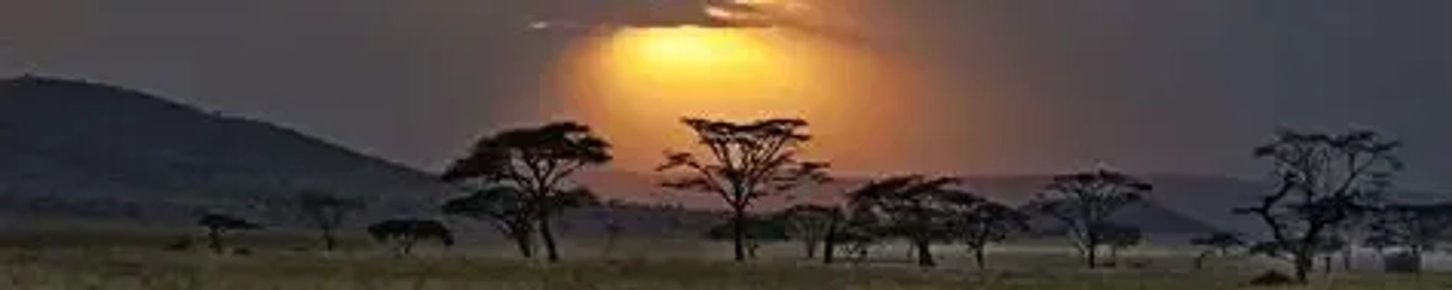 Cover for Stormy-Kito Justice's Obituary