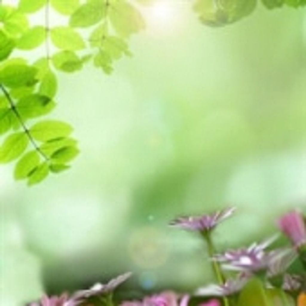 Patricia Ann Phillips