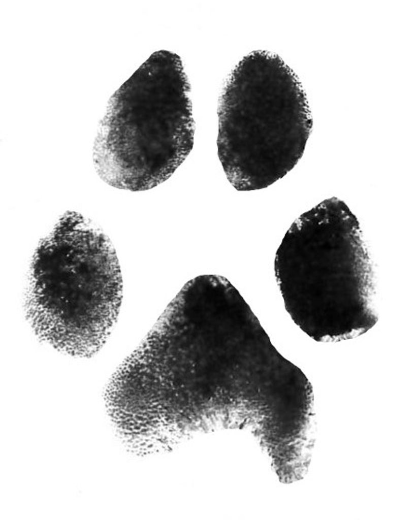 Daisy Tapper Profile Photo