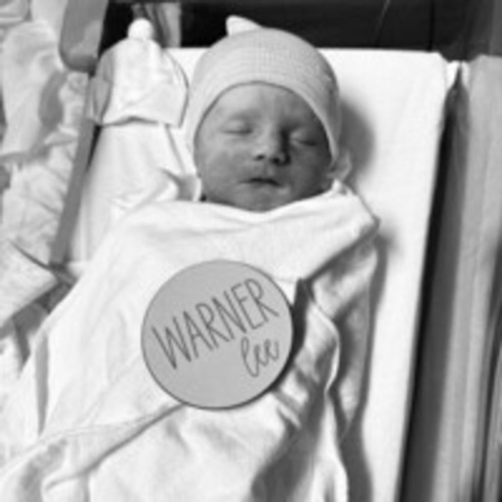 Warner Lee Teel