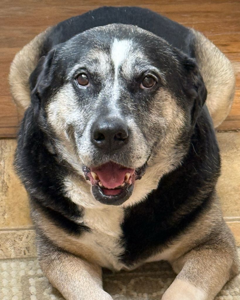 Farley Watson Profile Photo