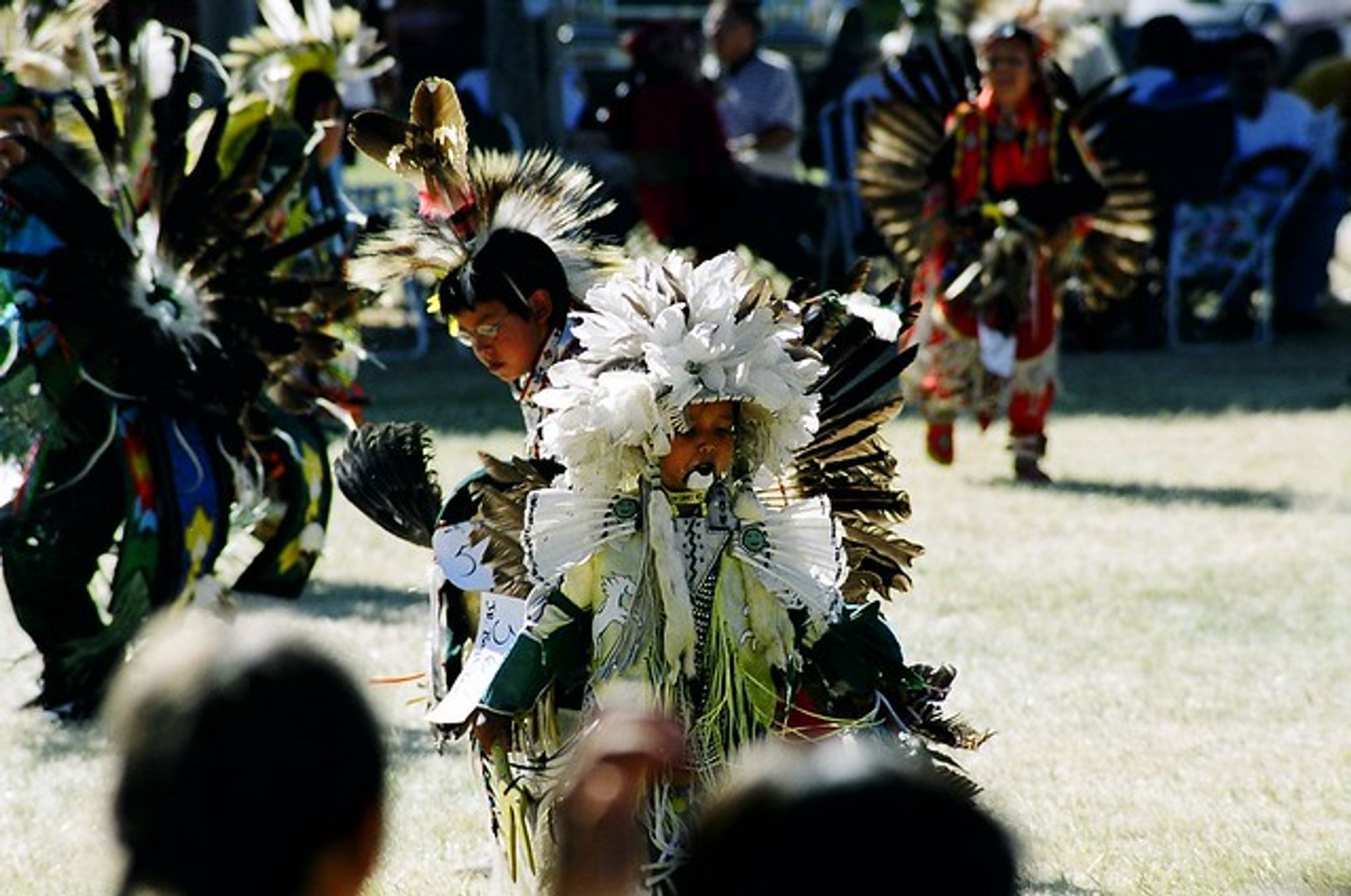 Cover for Lillian Diane Mc Dougle's Obituary