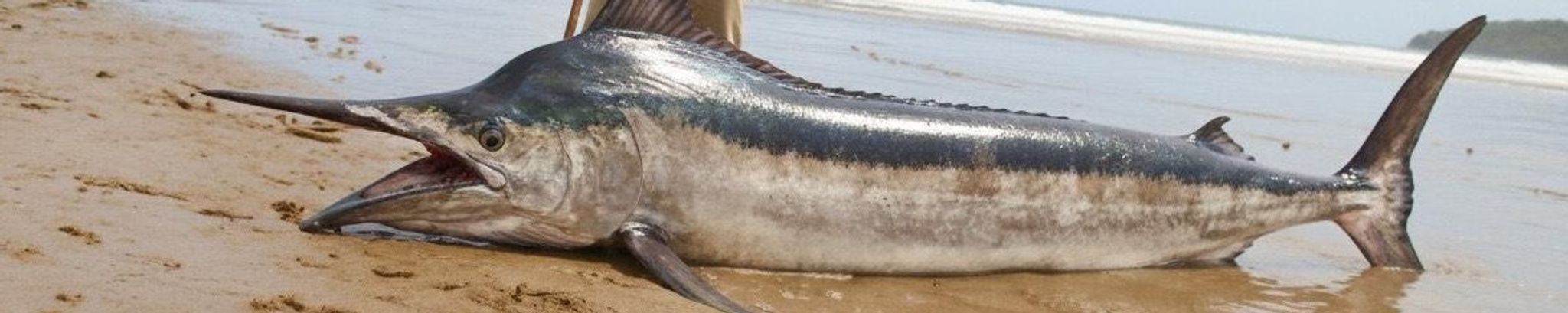 Cover for Florenio M Ecle's Obituary