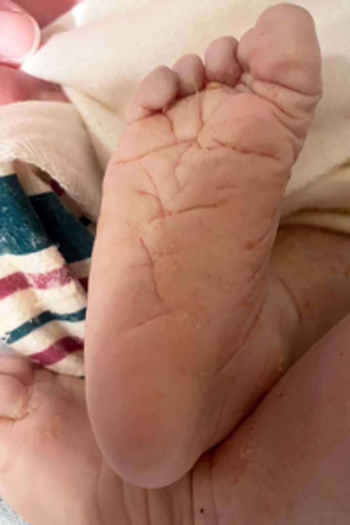 Izabella Lillee Grace Reed Profile Photo